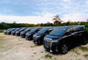 Rental Toyota Alphard 2024 Bali