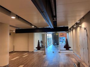 Bali VIP Express Arrival Service